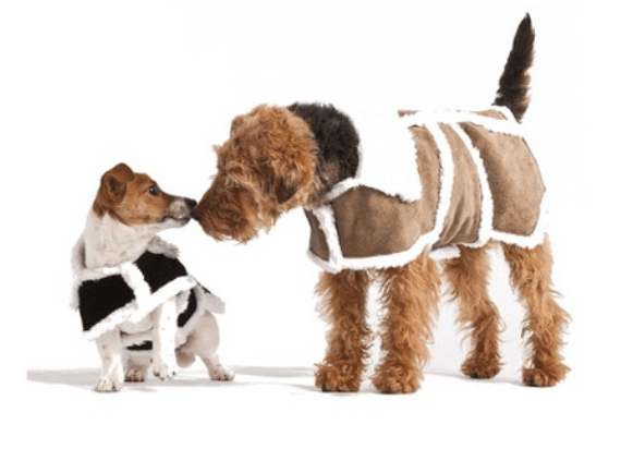 Screen Shot 2018-12-15 at 3.37.10 PM.png