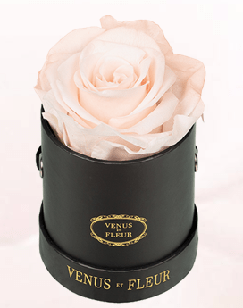 Screen Shot 2019-02-06 at 7.32.10 AM.png