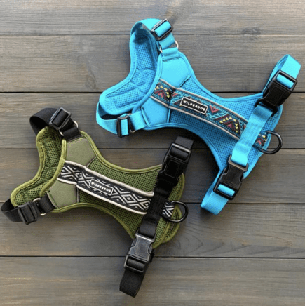 Screen Shot 2019-12-07 at 7.02.46 PM.png