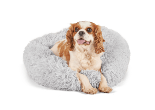 Screen Shot 2020-05-05 at 1.39.30 PM.png